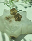 Golden Clover