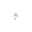 Palm Tree